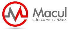 logo web
