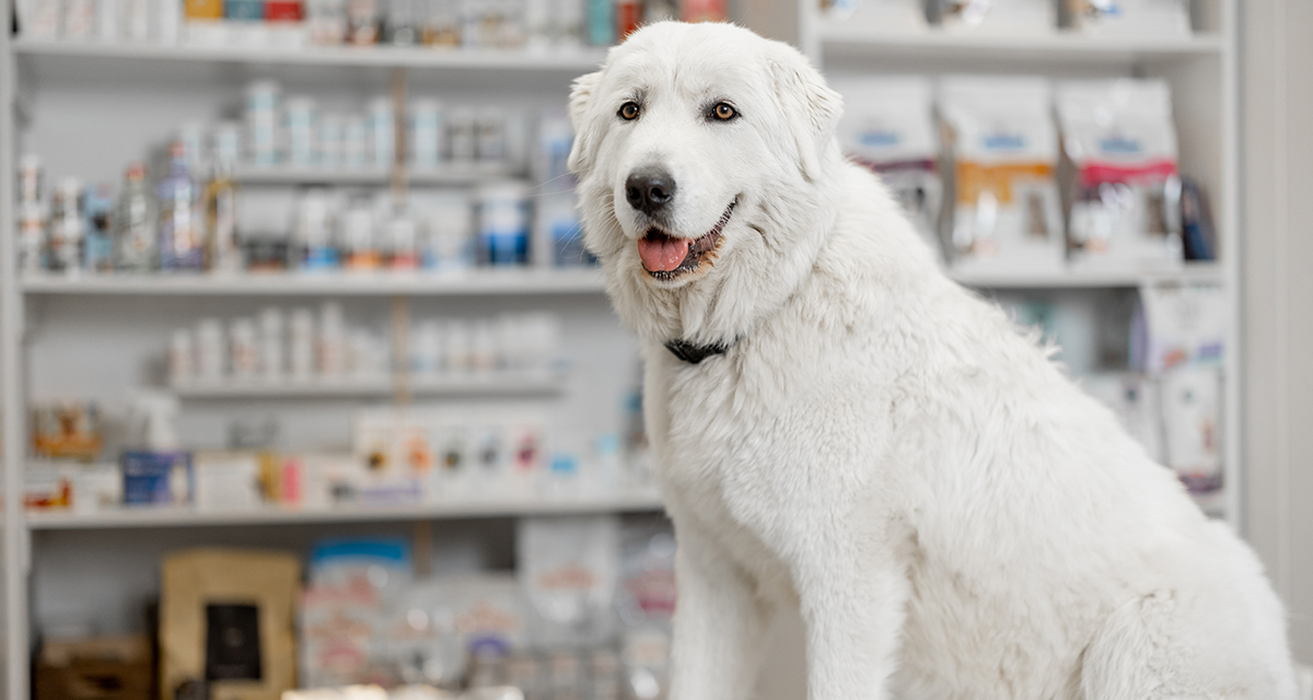 farmacia veterinaria exclusiva