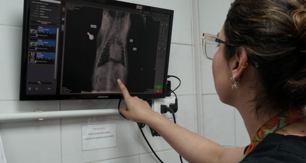 imagenología