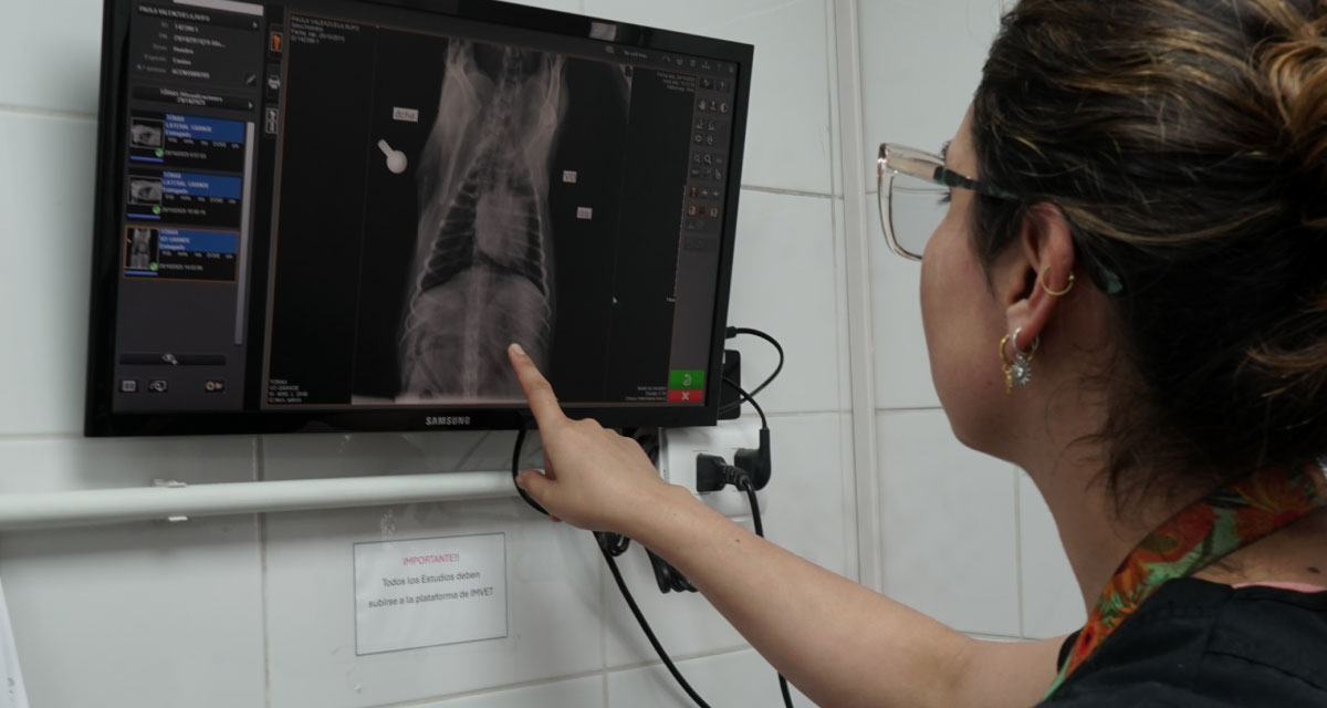 imagenología