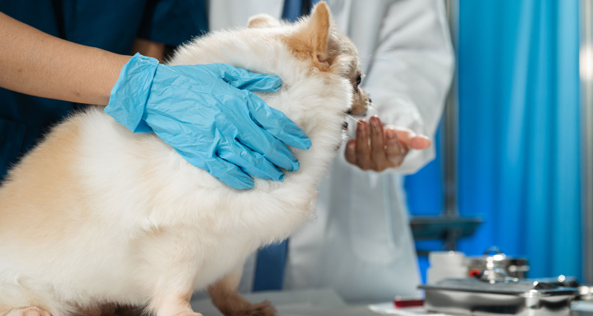 medicina respiratoria